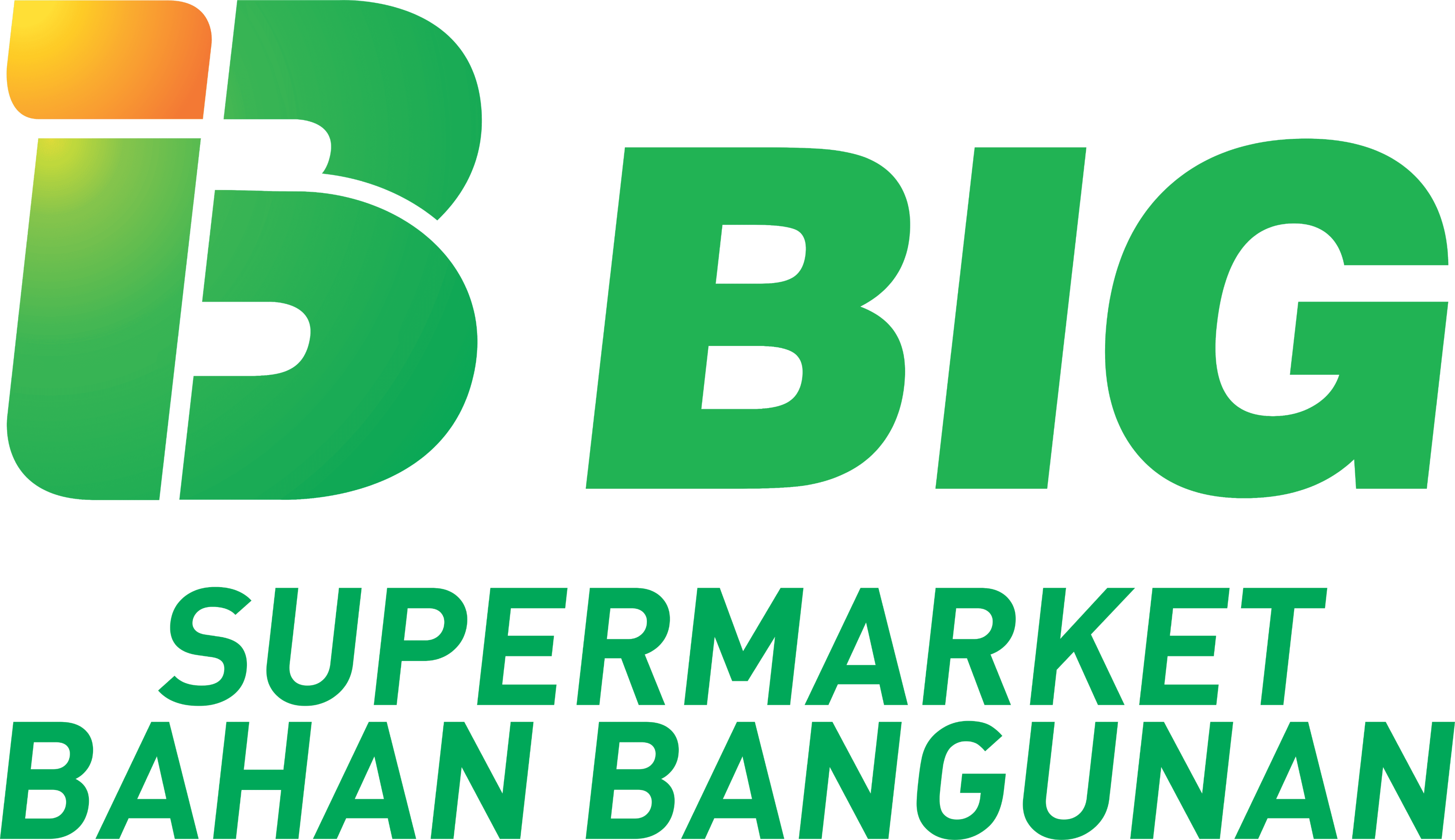 BigMo Logo